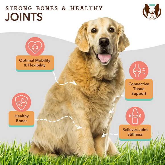 Natural Dog Company Hip & Joint Soft Chews for Dogs (90 Chews)