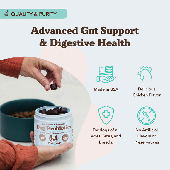 Natural Dog Company Gut Health & Digestion Dog Probiotics (45 Soft Chews)