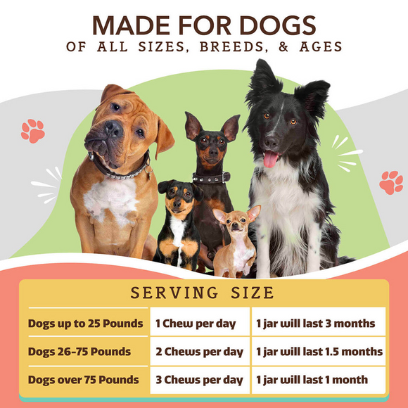 Natural Dog Company Skin & Coat Soft Chews (90 Soft Chews)