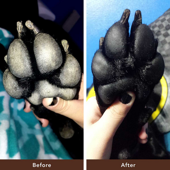 Natural Dog Company Paw-Tection Stick (2 oz)