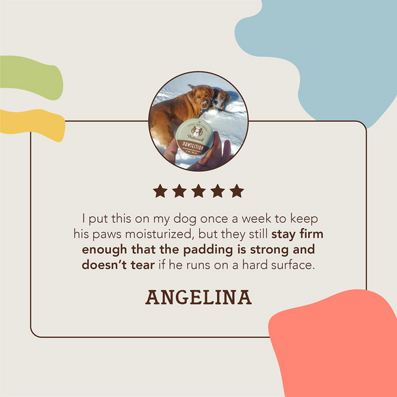 Natural Dog Company Paw-Tection Stick (2 oz)