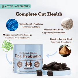 Natural Dog Company Gut Health & Digestion Dog Probiotics (45 Soft Chews) - Probiotic Supplement 2