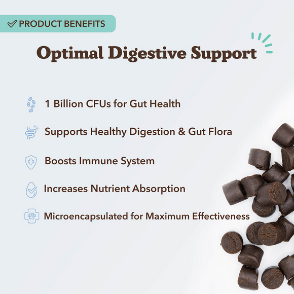 Natural Dog Company Gut Health & Digestion Dog Probiotics (45 Soft Chews)