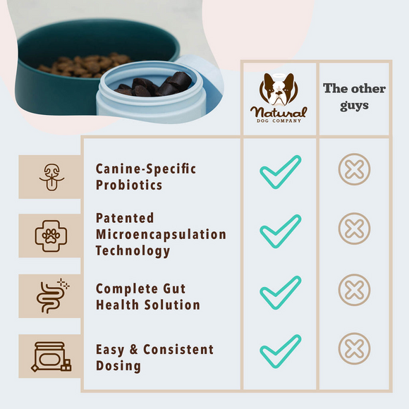 Natural Dog Company Gut Health & Digestion Dog Probiotics (45 Soft Chews)