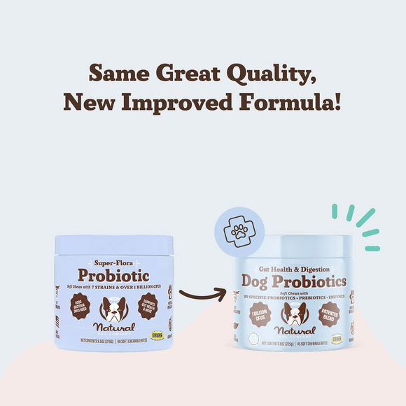 Natural Dog Company Gut Health & Digestion Dog Probiotics (45 Soft Chews)