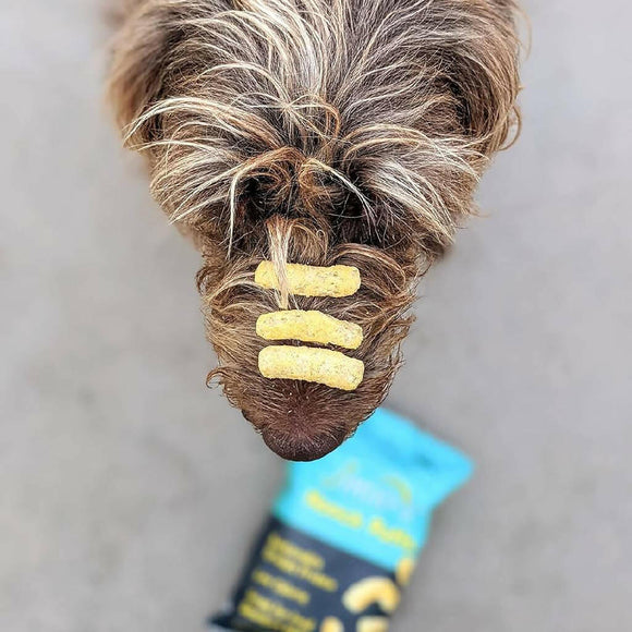 Jiminy's Nooch Puffs Dog Training Treats For Dog (4.2 oz)