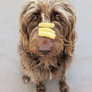 Jiminy's Nooch Puffs Dog Training Treats For Dog (4.2 oz)