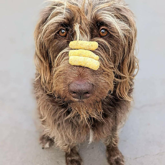 Jiminy's Nooch Puffs Dog Training Treats For Dog (4.2 oz)