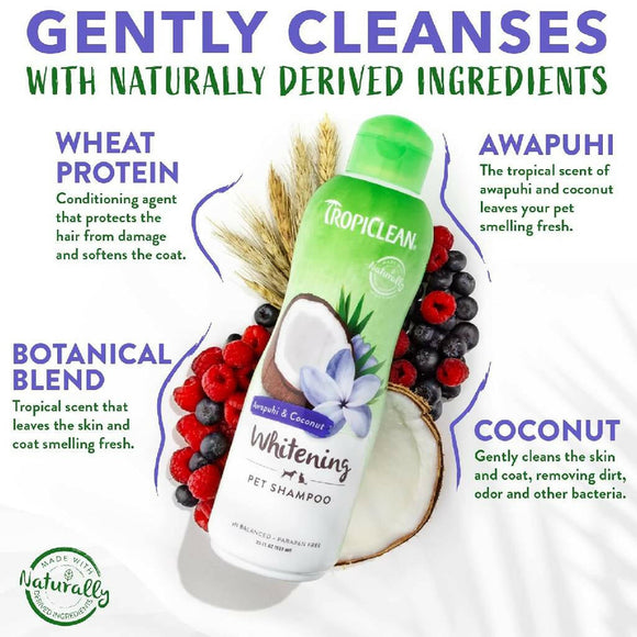 Tropiclean Awapuhi & Coconut Whitening Shampoo for Pets (20 oz)