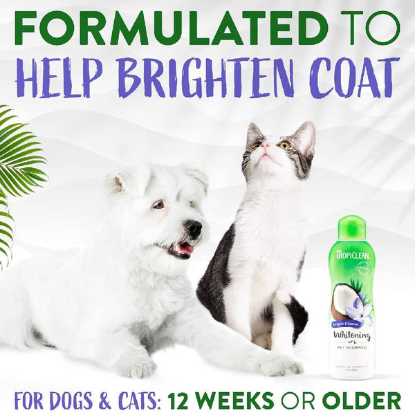 Tropiclean Awapuhi & Coconut Whitening Shampoo for Pets (20 oz)