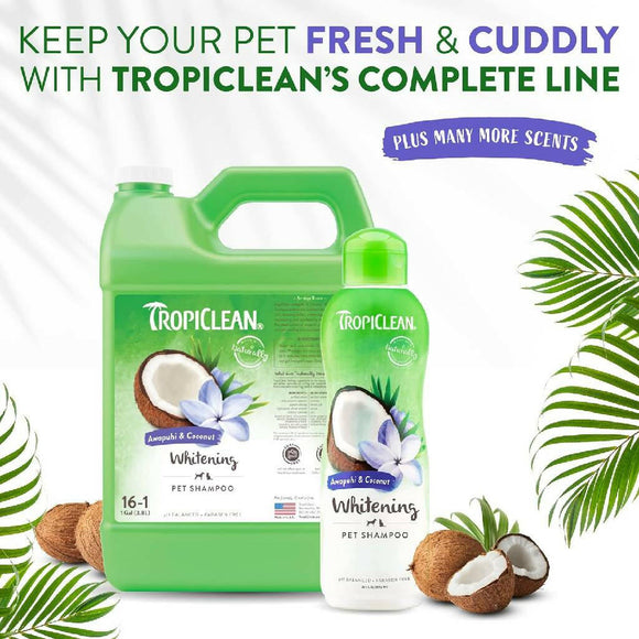 Tropiclean Awapuhi & Coconut Whitening Shampoo for Pets (20 oz)