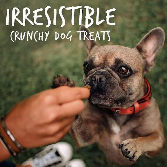Fruitables Crispy Bacon & Apple Crunchy Dog Treats (7 oz)