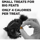 Bixbi Pocket Trainers Grain-Free Chicken Treats for Dogs (6 oz)