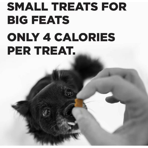 Bixbi Pocket Trainers Grain-Free Chicken Treats for Dogs (6 oz)