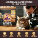 Wellness CORE Tiny Tasters Grain-Free Flaked Tuna & Salmon Wet Food for Cats (1.75 oz x 12 pouches)