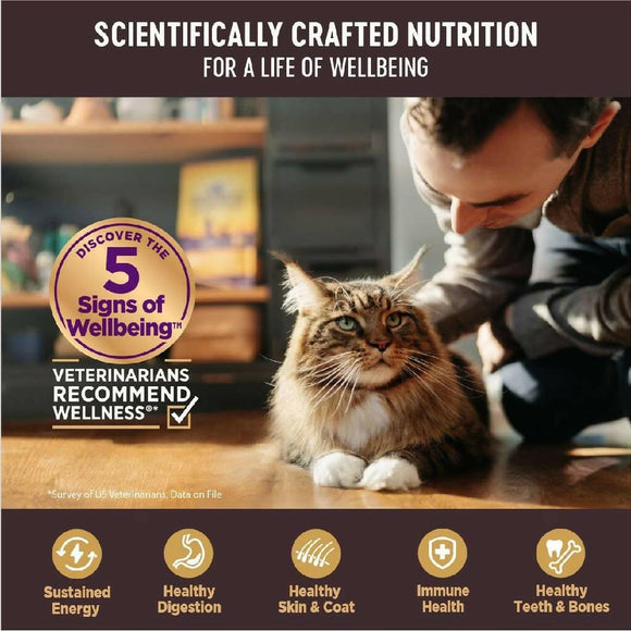 Wellness CORE Tiny Tasters Grain-Free Flaked Tuna & Salmon Wet Food for Cats (1.75 oz x 12 pouches)