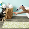 Richard's Organics Anti-Bacterial Shampoo For Dogs (12 oz)