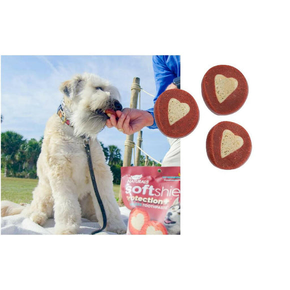 Ark Naturals 5-in-1 Soft Shield Protection+ Brushless Toothpaste Chews for Large Dogs (18 oz)