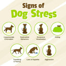 Pet Naturals BusyButter Calming Peanut Butter for Dogs (1.5 oz x 6 pouches)