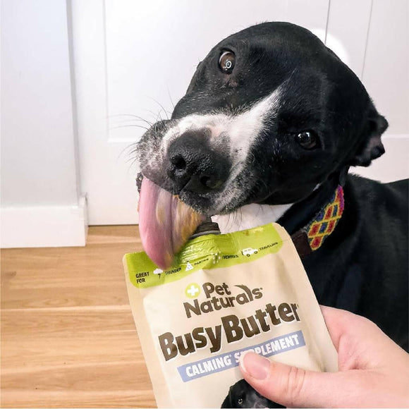 Pet Naturals BusyButter Calming Peanut Butter for Dogs (6 oz)