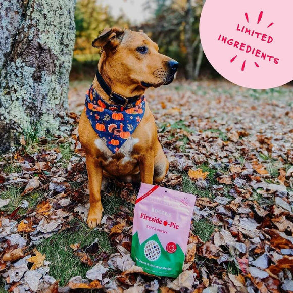 Bocce's Bakery Fireside Apple Pie Soft & Chewy Treats For Dogs (6 oz)
