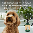 TropiClean Essentials Jojoba Oil Shampoo for Dogs (16 oz)