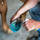 hoof care with electrolyzed alkascent dimethyl carbinol
