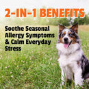 Pet Naturals Allergy + Calming Supplement Chews for Dogs (60 count)