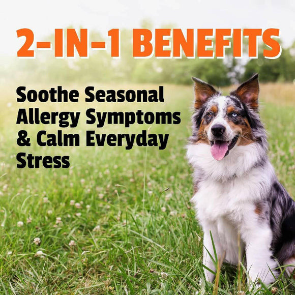 Pet Naturals Allergy + Calming Supplement Chews for Dogs (60 count)