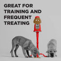 Bixbi Pocket Trainers Grain-Free Salmon Treats for Dogs (6 oz)