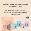 Bocce's Bye Bye Stinkies Digestive Support Soft & Chewy Treats For Dogs (6 oz)