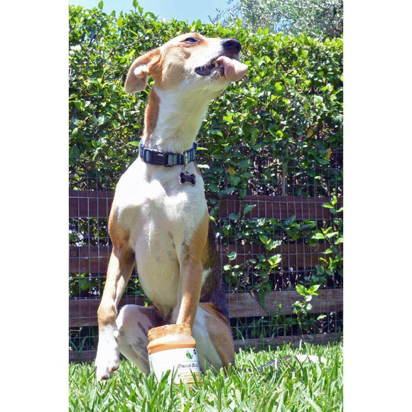 Green Coast Pet Pawnut Butter with Coconut Dog (1 lb)