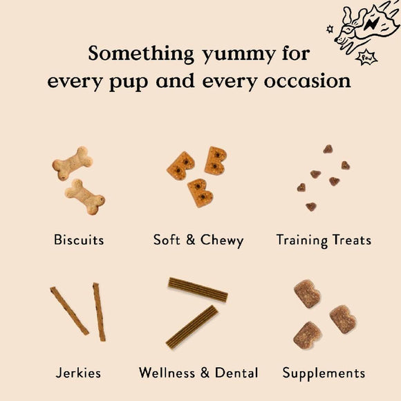 Bocce's Bakery Birthday Cake Crunchy Treats For Dogs (5 oz)