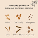 Bocce's Bakery Basics Peanut Butter and Banana Soft & Chewy Recipe Dog Treats (6 oz)