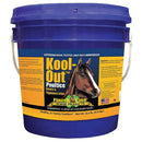 Finish Line Kool-Out Muscle & Joint Pain Relief Non-Medicated Poultice for Horses-2