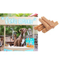 Ark Naturals Breath Bursts Brushless Toothpaste Cinnamon Dental Sticks for Large Dogs (6 oz)
