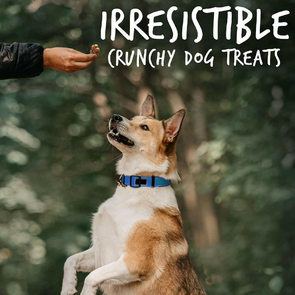 Fruitables Biggies Pumpkin & Blueberry Dog Treats (16 oz)