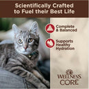 Wellness CORE Tiny Tasters Grain-Free Minced Chicken & Beef Wet Food for Cats (1.75 oz x 12 pouches)
