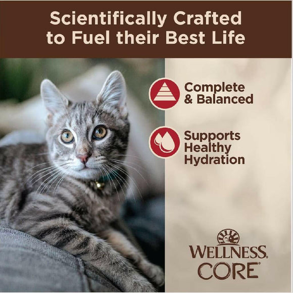 Wellness CORE Tiny Tasters Grain-Free Minced Chicken & Beef Wet Food for Cats (1.75 oz x 12 pouches)