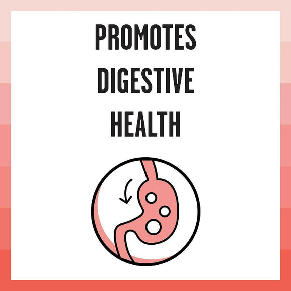 Bixbi Rawbble Grain-Free Salmon Recipe Raw Coated Dry Cat Food (3 lb)