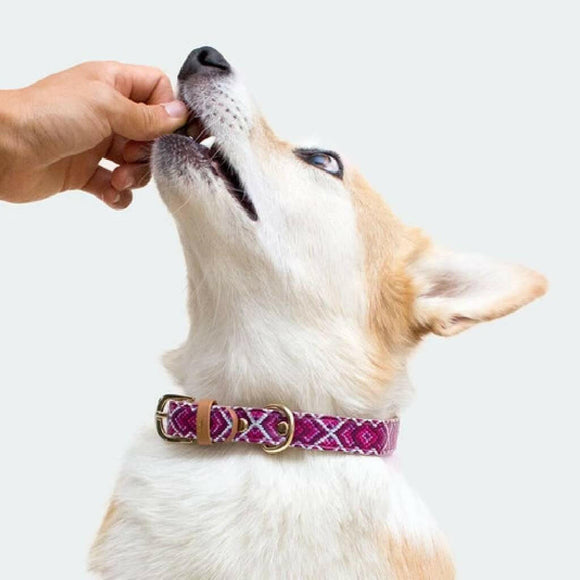 Green Coast Pet Pill-A-Pet Cheese Flavor Pill Wrap with Probiotics for Dogs (4.2 oz)