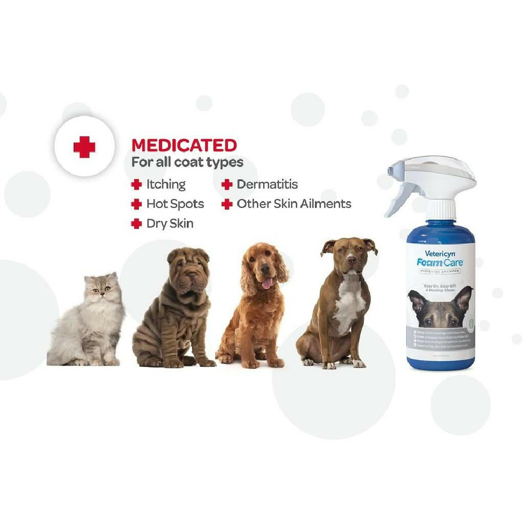 This medicated shampoo for dogs is made with salicylic acid. 