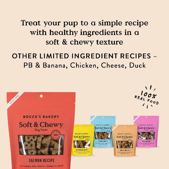 Bocce's Bakery Basics Salmon Soft & Chewy Treats For Dogs (6 oz)