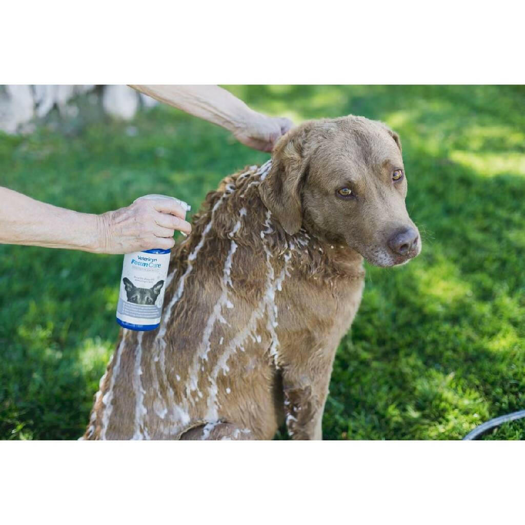 vetericyn foam care dog shampoo for dry and itchy skin