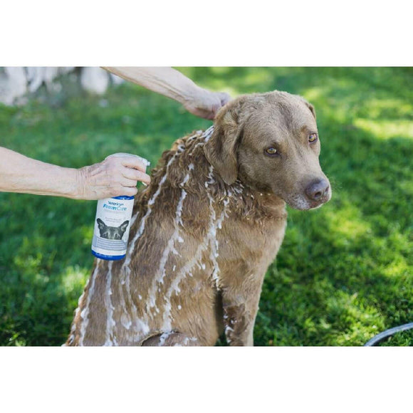 vetericyn foam care dog shampoo for dry and itchy skin
