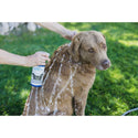 Vetericyn FoamCare Medicated Shampoo for Dogs (16 oz)