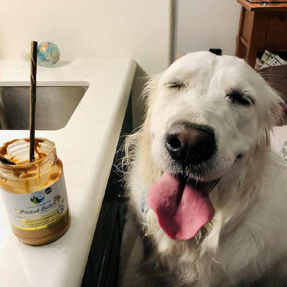 Green Coast Pet Pawnut Butter with Real Honey for Dogs (1 lb)