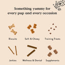 Bocce's Bye Bye Stinkies Digestive Support Soft & Chewy Treats For Dogs (6 oz)