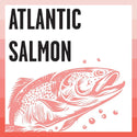 Bixbi Rawbble Grain-Free Salmon Recipe Raw Coated Dry Cat Food (3 lb)