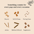 Bocce's Bakery Hip & Joint Supplement for Dogs (60 Soft Chews)